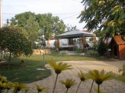 Szénási Irén Táncsics u. 12