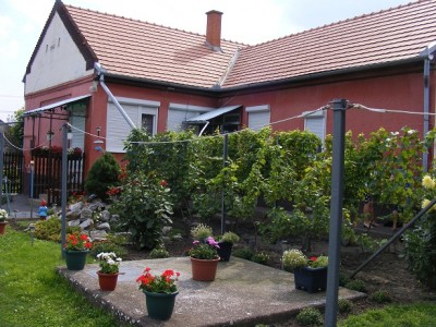 Váczi Lajosné Kossuth u. 98.