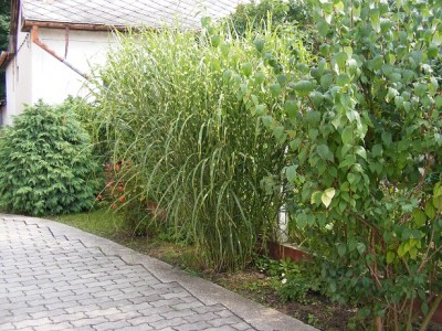 Bányász 13. Társasház