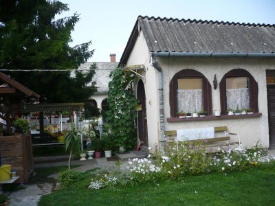 Tóháti Andrásné002.JPG