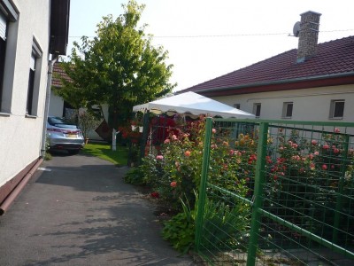 Török Imre001.JPG